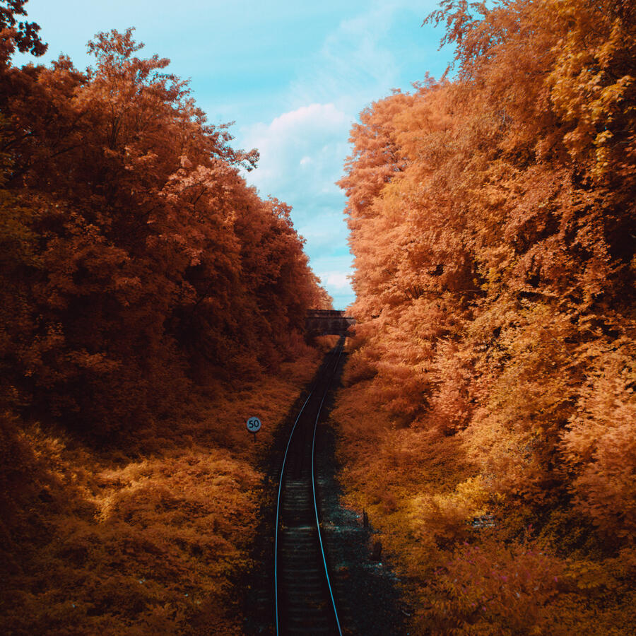 Maidenhead, Sony A5000 IR & Sony 18-55mm