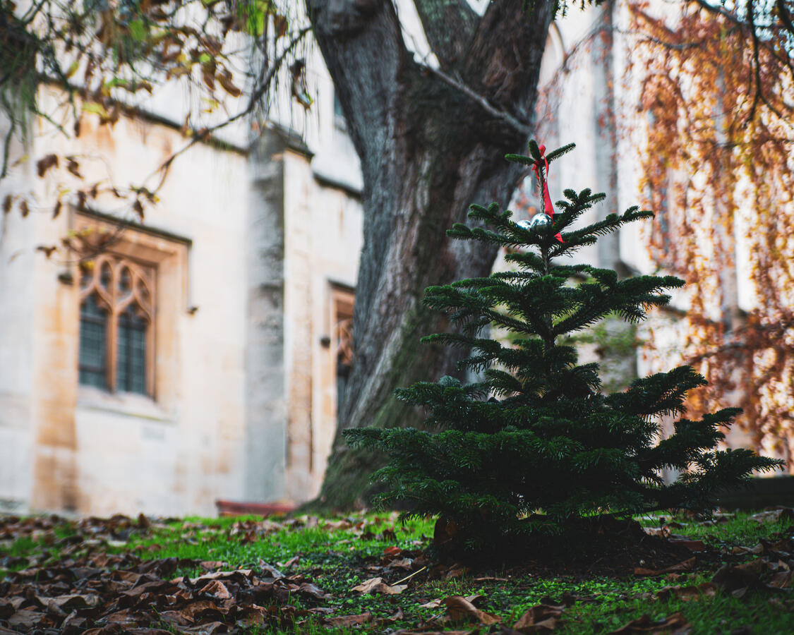 Windsor, Sony A7RII & Tamron 28-75mm f/2.8