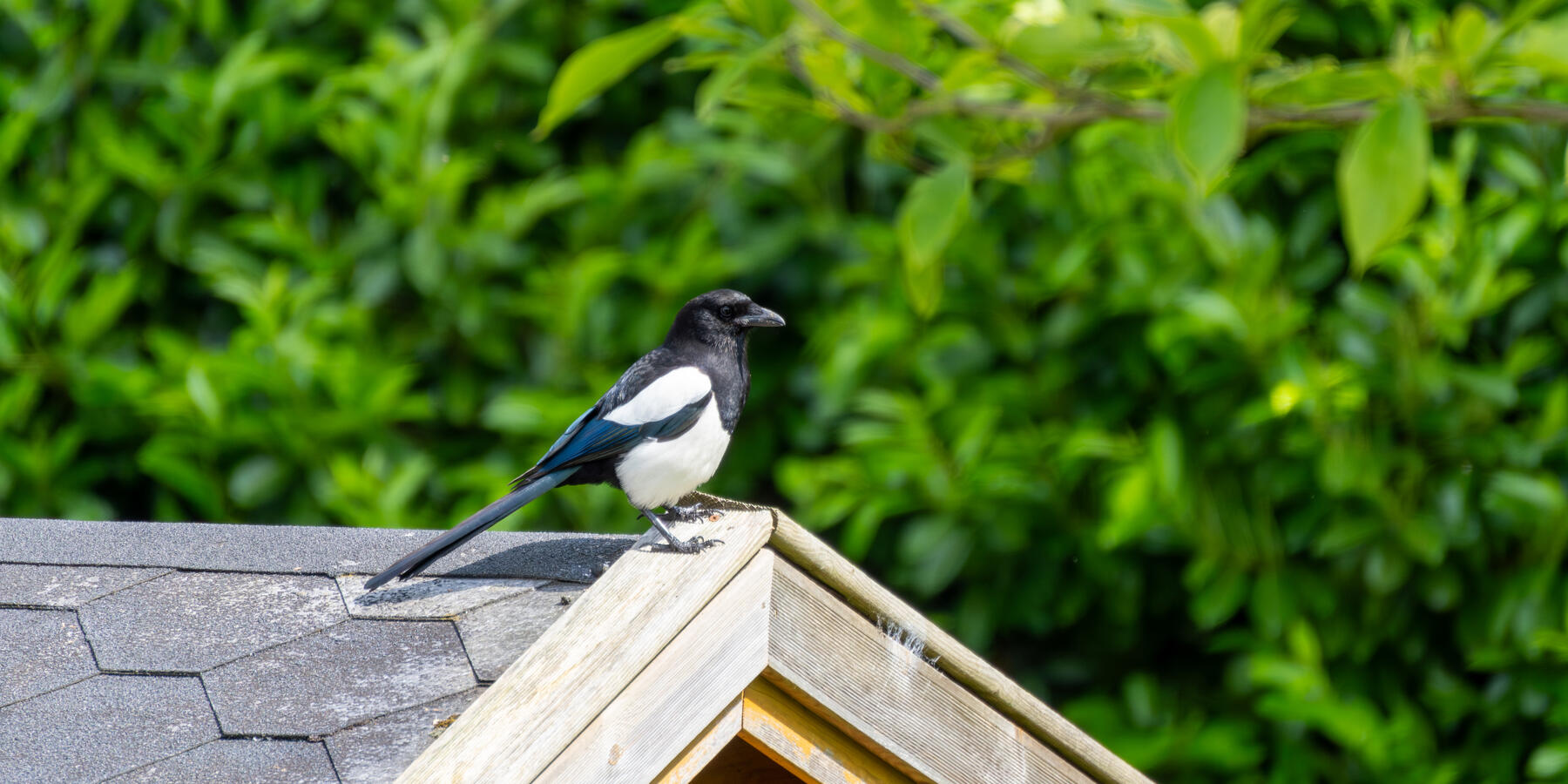 Lancashire, Sony ZV-E10 & Tamron 70-300mm